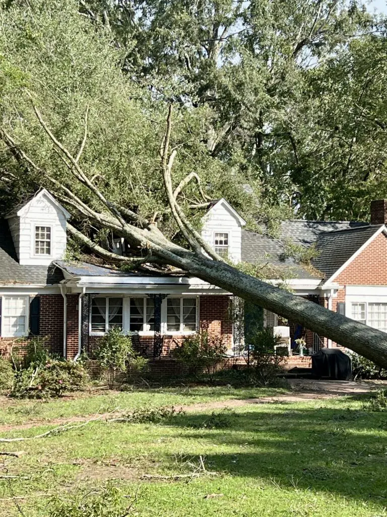 FEMA Registration Process