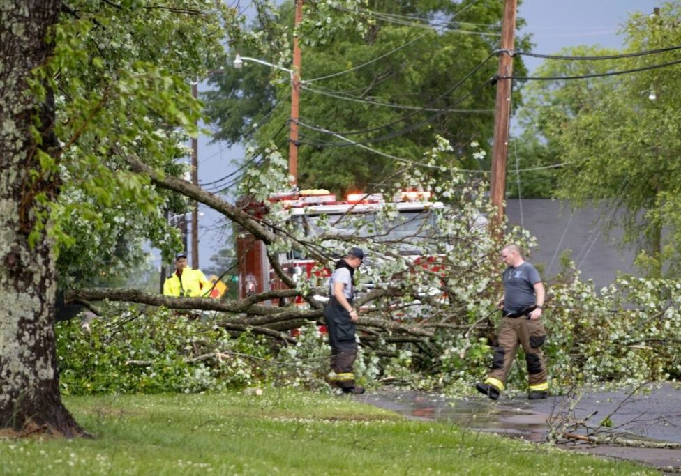 Two individuals in safety gear stand near a fallen tree blocking a road, with a fire truck and additional personnel visible in the background.